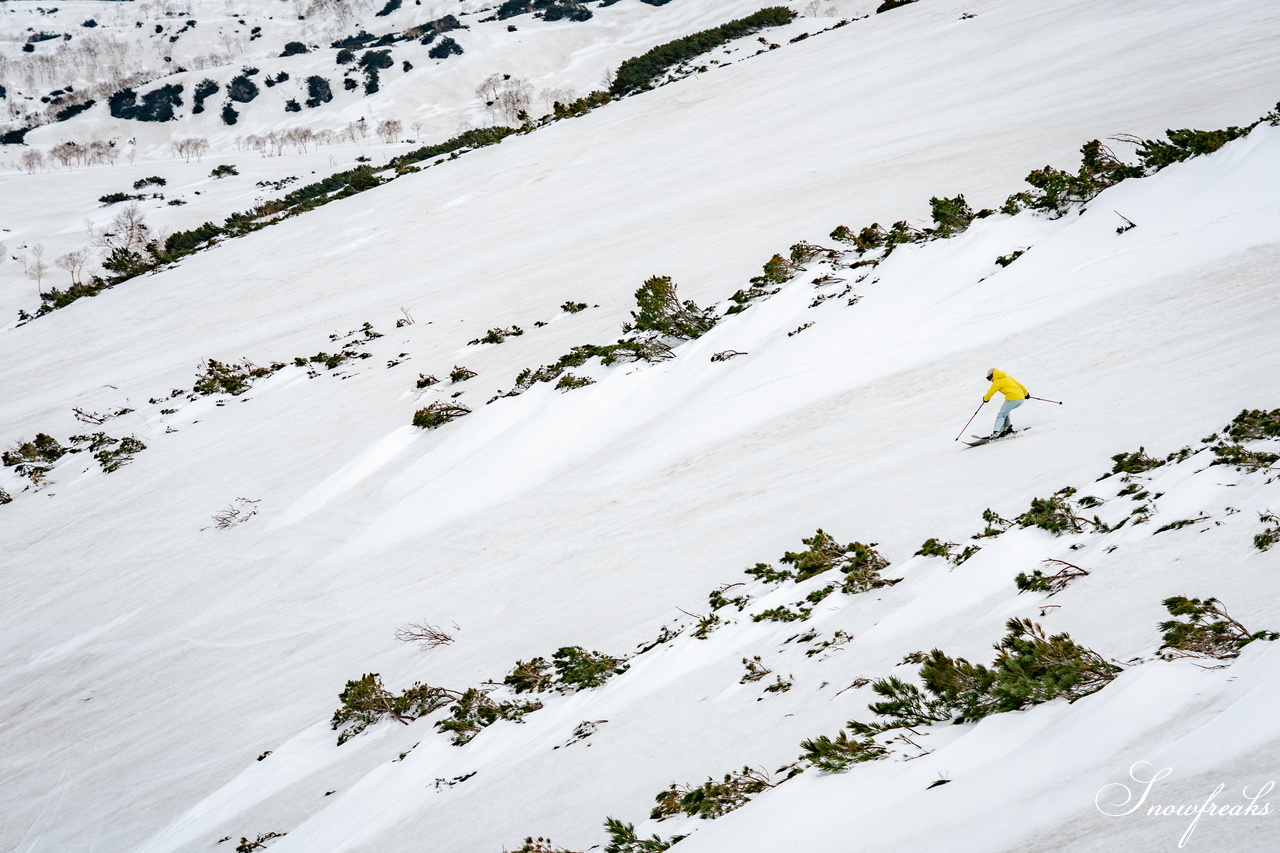 大雪山旭岳ロープウェイ｜ 2025～2026 Season Final...。北海道でイチバン高い山『旭岳』斜面にシュプールを描いて、滑り納め。今シーズンもありがとうございました。